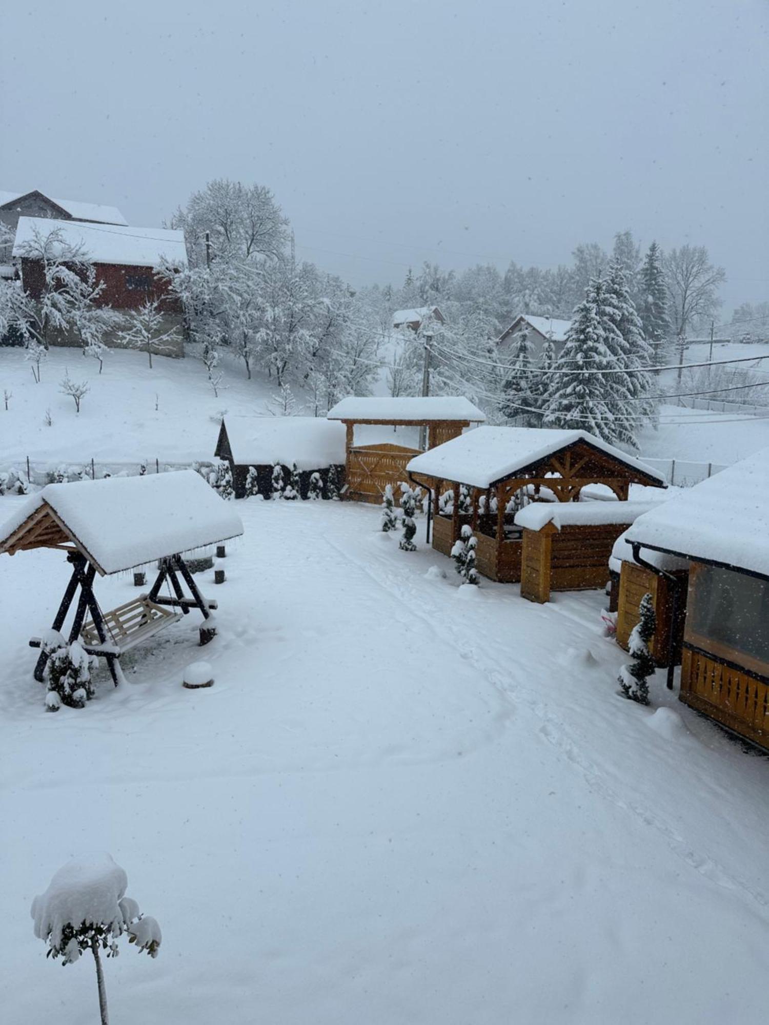 Popasul Din Vale Moisei Exterior foto